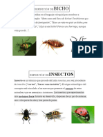 Definición de Bicho e Insecto