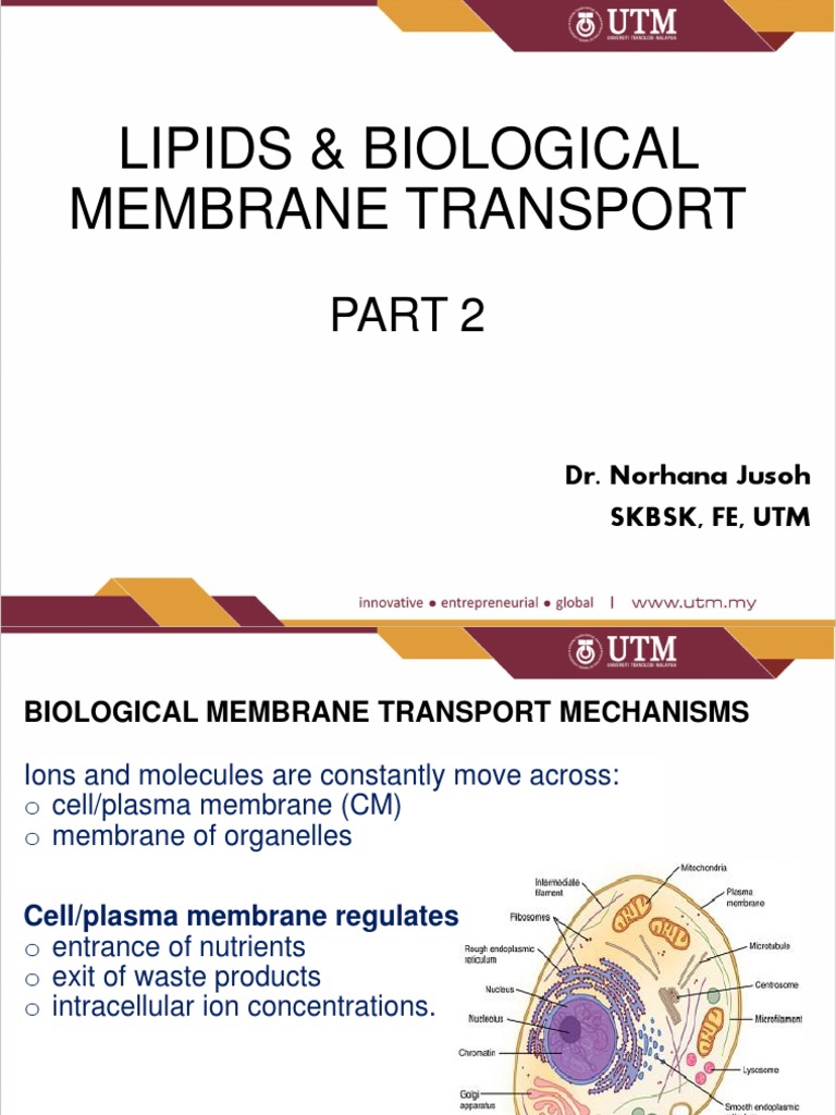 Lipids Biologial Membrane Transport Part II PDF | PDF | Cell Membrane ...