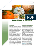 Downy Mildew of Cucurbits: Botany and Plant Pathology