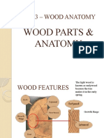 LEC 4 – WOOD  Parts & Anatomy