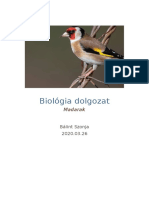 Biológia Házi Dolgozat