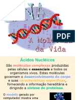 acidos_nucleicos