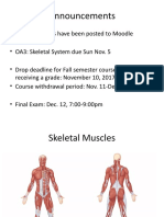 Module 6 - Muscular System part 3_LH (2).pptx
