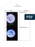 Dokumentas Mikologi Dengan Metilen Blue