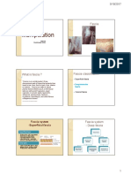 Workshop 1 Powerpoint Stecco.pdf