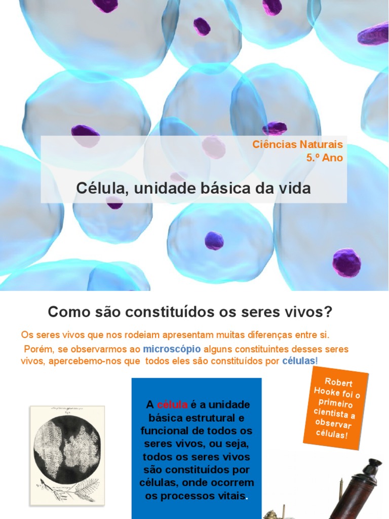 Power Point Célula, Unidade Básica Da Vida