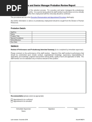 Executive-and-Senior-Manager-Probation-Template.doc