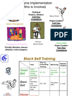 Six Sigma Overview