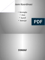 SYARAF