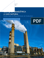 53 - 53 - Relatorio Geracao Termeletrica A Gas Natural 2017 - 0 PDF