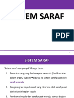 Sistem Saraf