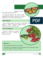 Insecte - Fise informative.pdf
