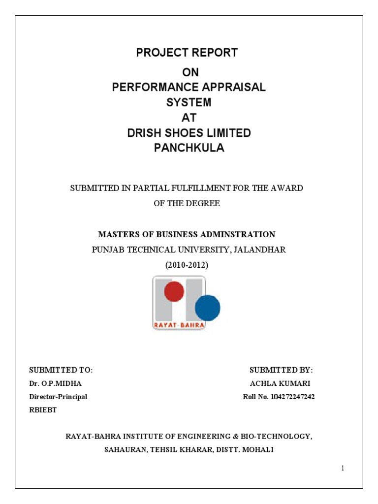 Final Project On Performance Appraisal | PDF | Leather | Taxes