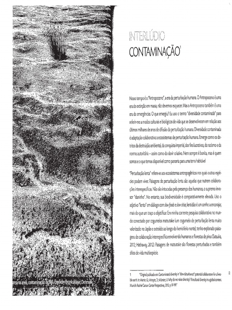 Contaminação e Escalabilidade Anna Tsing PDF