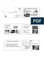 Hipersensibilidad A F Rmacos PDF