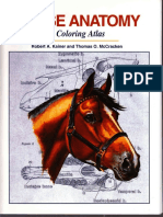 Anatomia - Horse Anatomy, A Coloring Atlas PDF