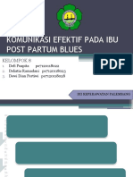 Komunikasi Efektif Pada Ibu Post Partum Blues