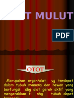 Otot Mulut. II