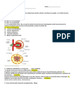 Nefro PDF