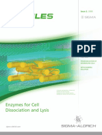 Enzymes For Cell Dissociation and Lysis: Issue 2, 2006