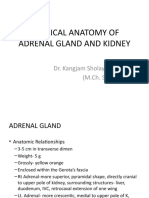 Surgical Anatomy of Adrenal Gland and Kidney