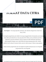 Format Data Citra