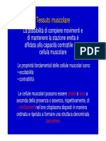 Riassunto del tessuto muscolare.pdf