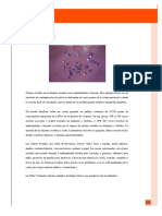 Org Panameric Salud 04 Peligros Fisicos