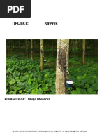 Sorgichda qiz va uning siki