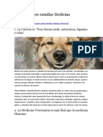 10 Mitos Sobre Estudiar Medicina Veterinaria