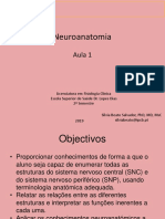 1.Intro + Telencefalo_Conf Ext e areas funcionais.pdf