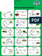 Baner Terpenos Hidroxilados PDF