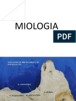 Miologia Cão PDF