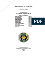 Kelompok 6 - Flavonoid