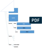 Actividad CAMPO y SITUACION