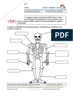 Sesion 03 Ciencia y Ambinte El Sistema Oseo