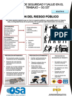Boletin SST # 8 - Prevencion Del Riesgo Publico PDF