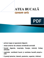 Cavitatea Bucala