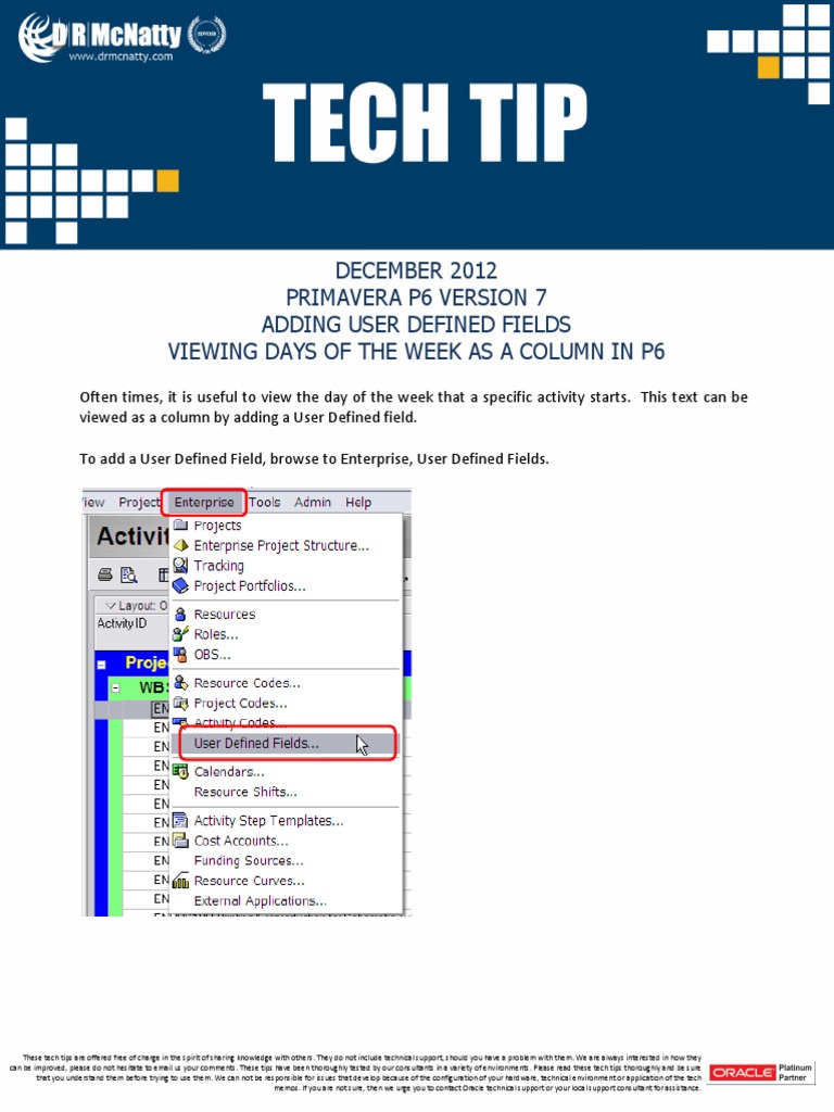 User Defined Fields in Primavera P6 | PDF | Information Technology ...