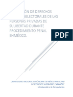 Suspensión Derechos Políticos