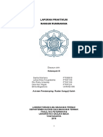 Laporan Praktikum Ransum Ruminansia: Disusun Oleh