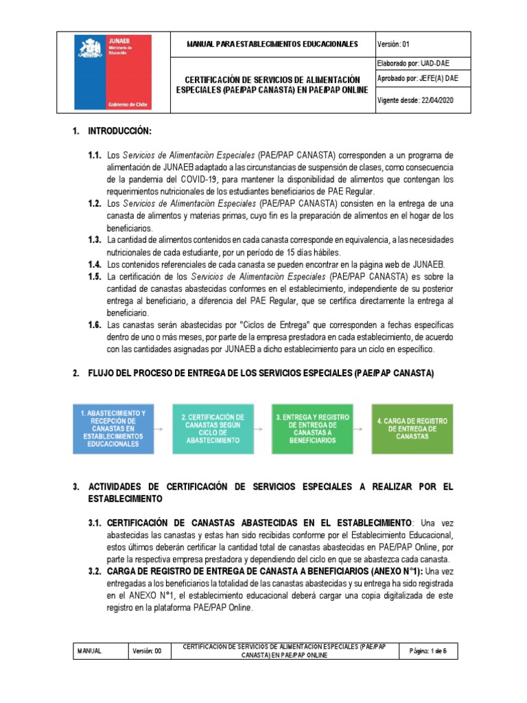 Certificación PAE/PAP Online en Chile | PDF | Archivo de computadora ...