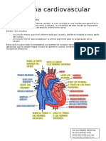 Generalidades Del Sistema Cardiovascular