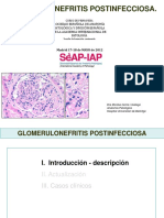 Curso 03 SD Nefritico 03 Dra Goma PDF