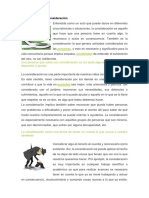 3 Importancia de La Consideración PDF