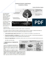 7a Biologiataller Circulacion en Plantas