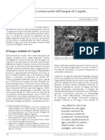 APORTES ALA CONSERVACION DEL BOSQUE DE CARPISH.pdf