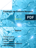 Fisiologia Do Sistema Nervoso