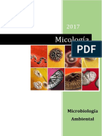 TP-8-Micología.pdf