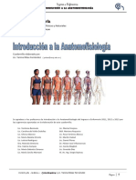 Anatomofisiología TEORIA PDF